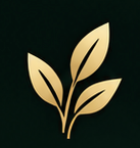 Plant & Grow SEO | Build Authority. Rank Organically
